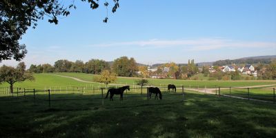 stehliseiden loftwohnungen 20181121 0011